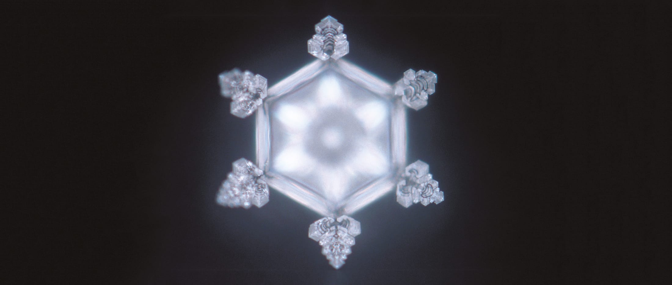 “Il Segreto dell’Acqua: Dalla Memoria Molecolare alla Rivoluzione PNEI”