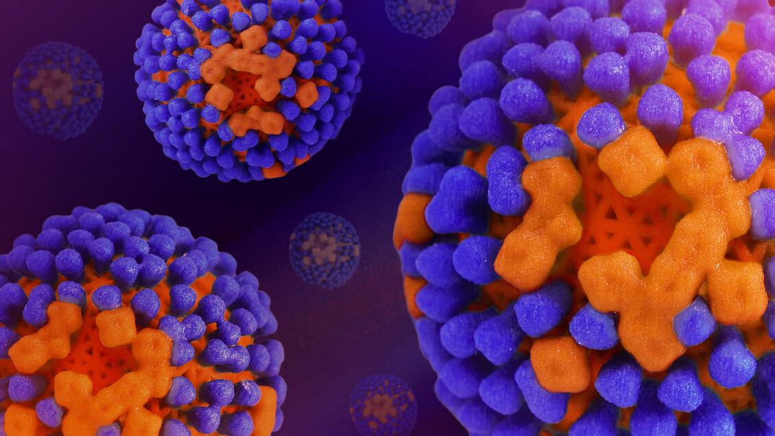 Anticorpi anti-influenza in formato adesivo per spray nasale innovativo