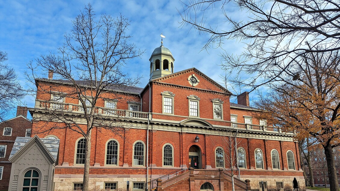 Italiano ad Harvard: molti studenti temono di dover rinunciare alla lingua