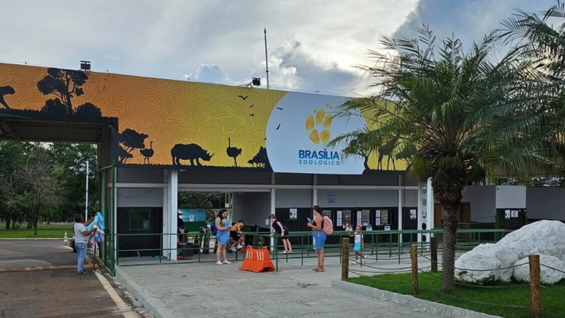 Chiusura dello zoo di Brasilia a causa di presunti casi di influenza aviaria