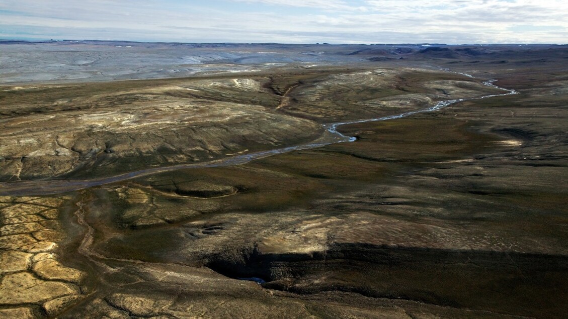 Proteine antiche di oltre 20 milioni di anni rivelano dettagli sull’evoluzione