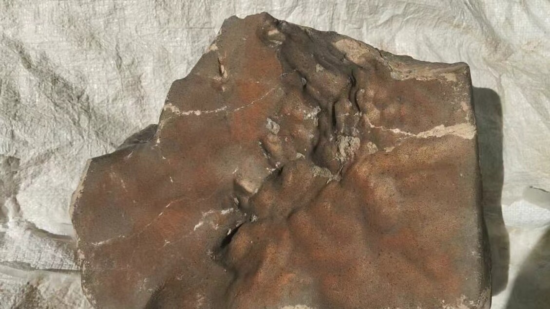 All’asta il meteorite marziano più grande, con un peso di quasi 25 chili