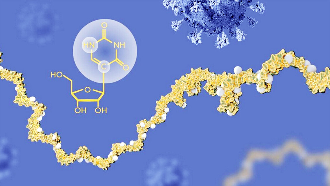 Esperti esprimono preoccupazione per la posizione di Bob Kennedy Jr sui vaccini mRna