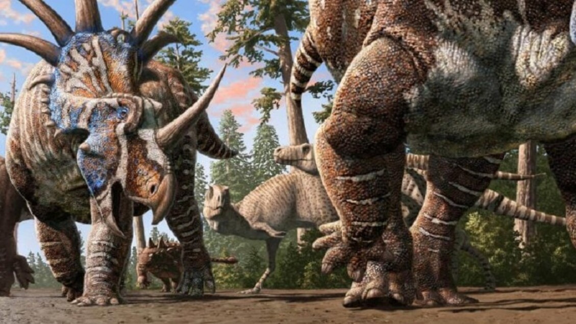 Scoperta di orme di dinosauri di diverse specie che camminavano insieme