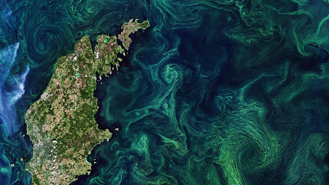 La fotosintesi globale registra un incremento significativo nel 2025