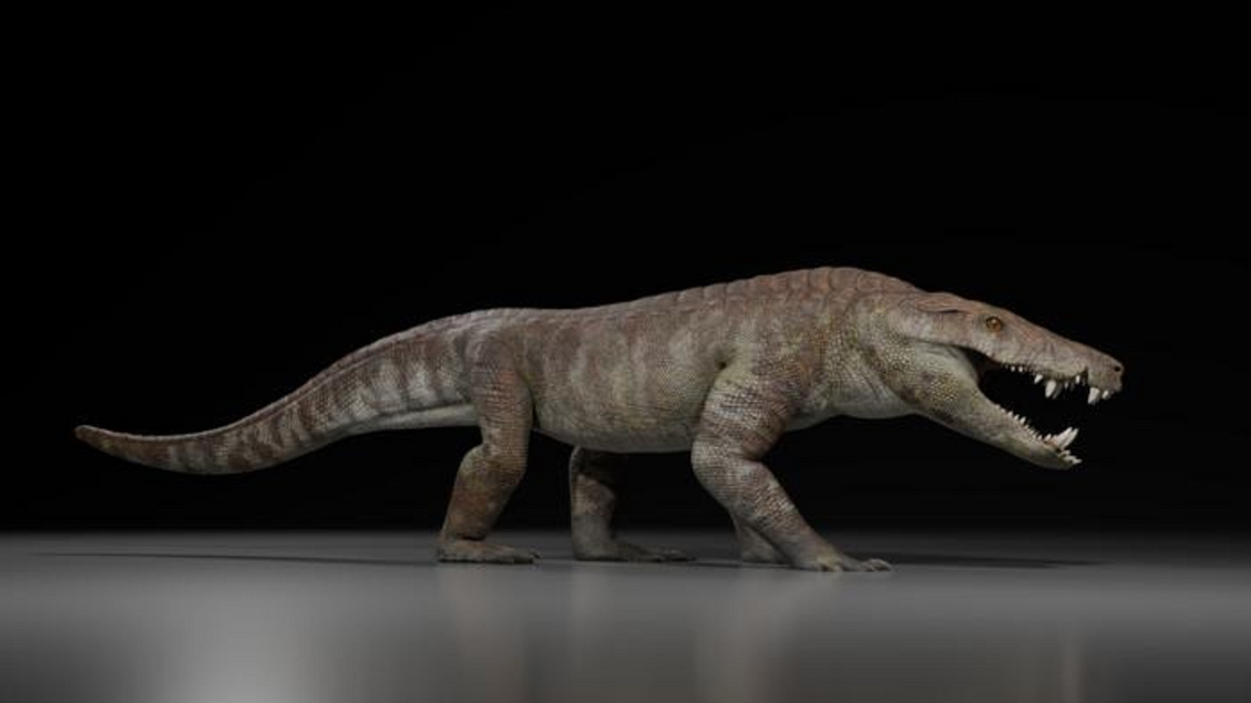 Il coccodrillo preistorico che si nutriva di dinosauri nel Cretaceo