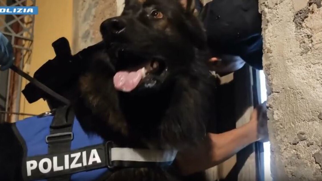 Droga e estorsioni: emessa ordinanza cautelare per 14 membri del clan Scalisi