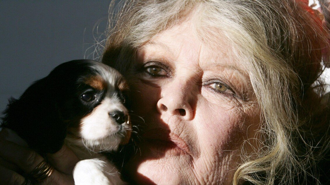 Brigitte Bardot ricoverata in ospedale da tre settimane, salute a rischio