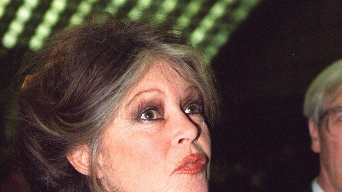 Brigitte Bardot lascia la clinica dopo aver subito un intervento chirurgico