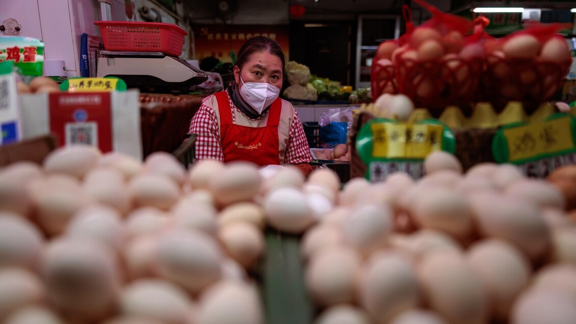 Giappone: l’aumento dei prezzi delle uova causato da influenza e inflazione