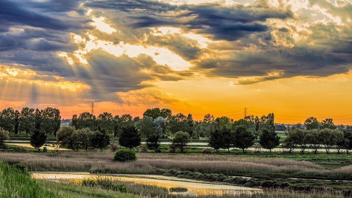 Delta del Po e lagune adriatiche: esempi di biodiversità ecologica