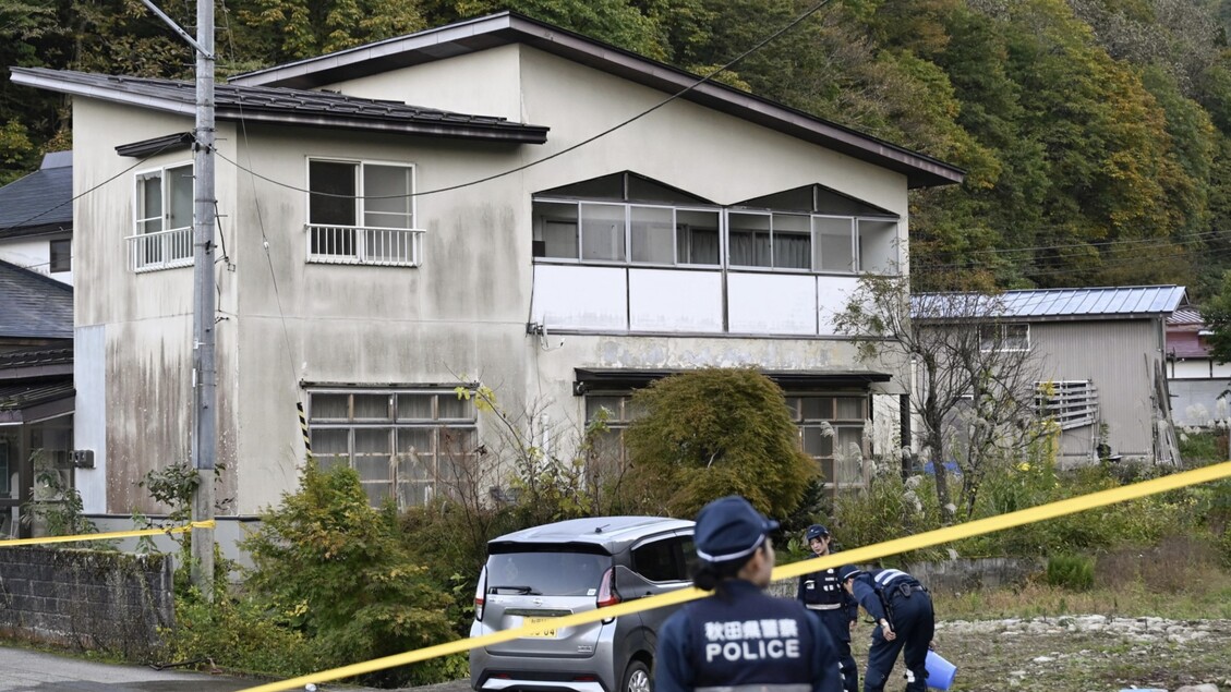 Aumento degli attacchi di orsi in Giappone, scatta l’allerta per la popolazione