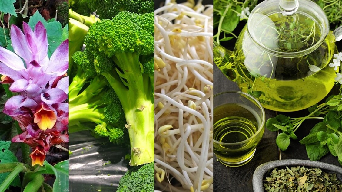 I cibi alleati della longevità: scopri quali sono e come aiutano