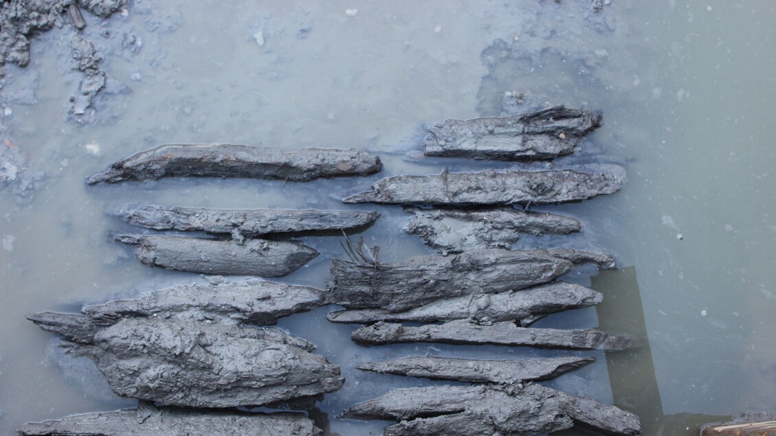 Antiche palizzate rivelano informazioni sull’innalzamento del mare Adriatico